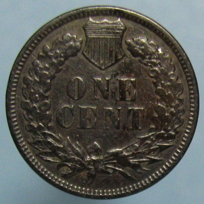 A-Beautiful-Indian-Head-Cent-In-The-Woods